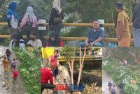 foto istimewa  : Saat para jajaran kelurahan soho turun di sungai Bersihkan sampah di sepanjang bantaran suara